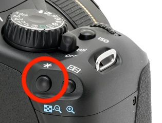 Illustration for article titled DSLR Tip of the Week: Back Button Focusing